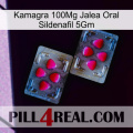 Kamagra 100Mg Oral Jelly Sildenafil 5Gm 15